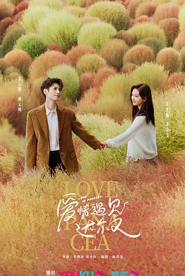 seo手机端怎么优化